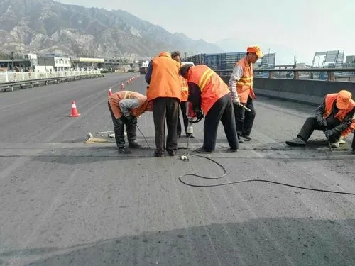 牡丹道路桥梁病害治理